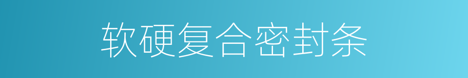 软硬复合密封条的同义词