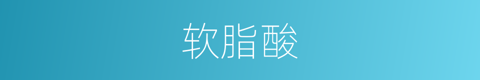 软脂酸的意思