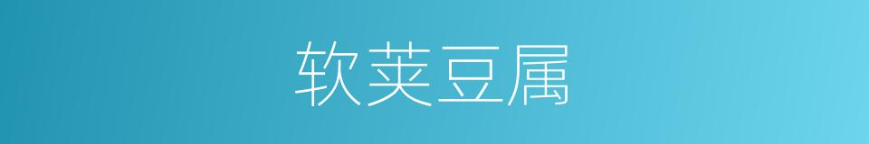 软荚豆属的同义词