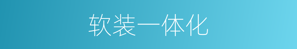 软装一体化的同义词