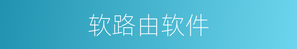 软路由软件的同义词
