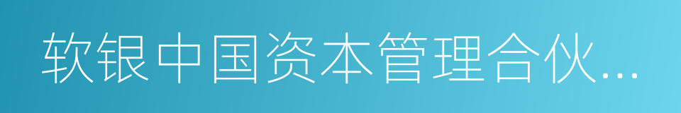 软银中国资本管理合伙人宋安澜的同义词