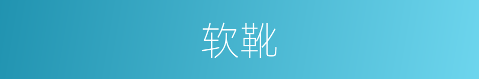软靴的同义词