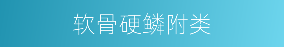 软骨硬鳞附类的同义词