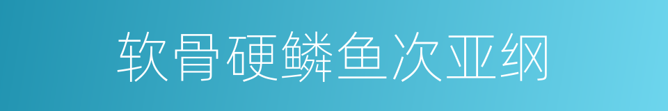 软骨硬鳞鱼次亚纲的同义词
