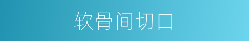 软骨间切口的同义词