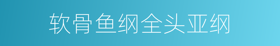 软骨鱼纲全头亚纲的同义词
