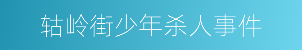 轱岭街少年杀人事件的同义词