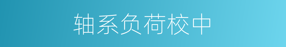 轴系负荷校中的同义词