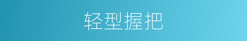 轻型握把的同义词