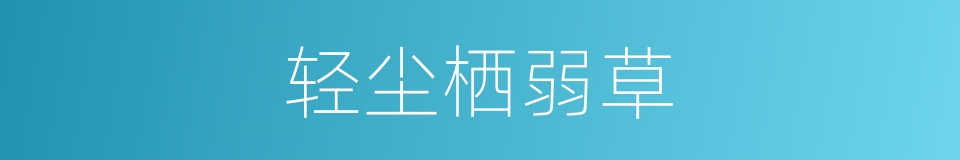 轻尘栖弱草的同义词