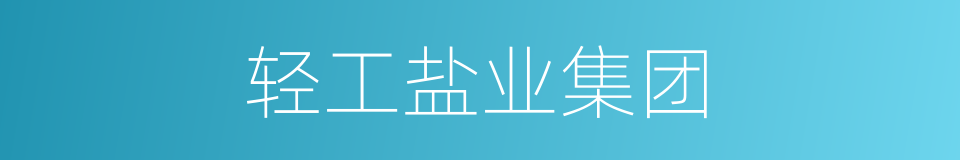 轻工盐业集团的同义词
