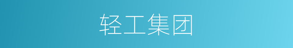 轻工集团的同义词