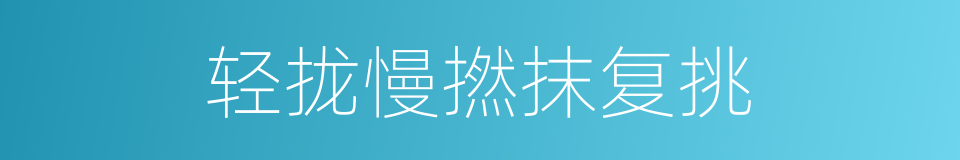轻拢慢撚抹复挑的同義詞