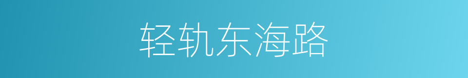 轻轨东海路的同义词