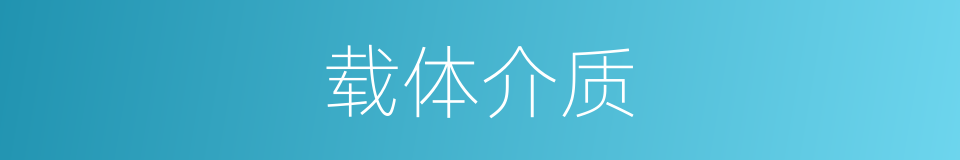 载体介质的同义词