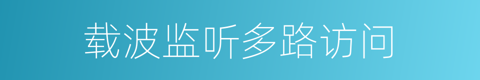 载波监听多路访问的同义词