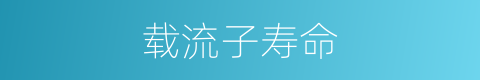 载流子寿命的同义词
