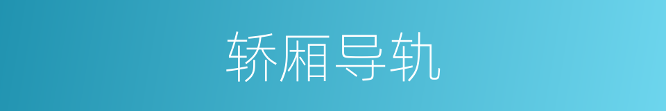 轿厢导轨的同义词