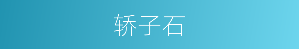 轿子石的同义词