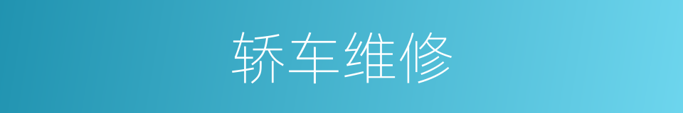 轿车维修的同义词