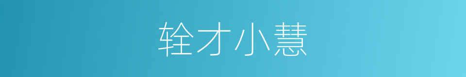 辁才小慧的意思