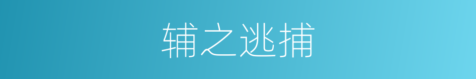 辅之逃捕的意思