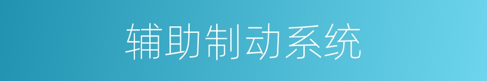 辅助制动系统的同义词