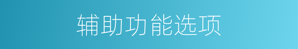 辅助功能选项的同义词