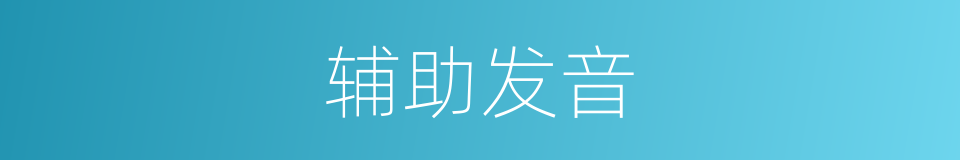 辅助发音的意思