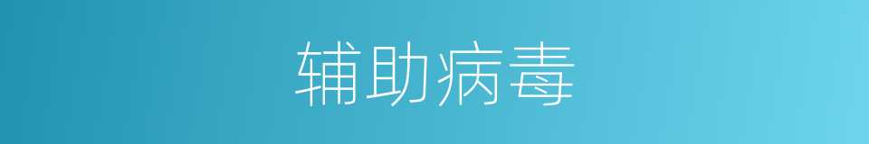 辅助病毒的意思