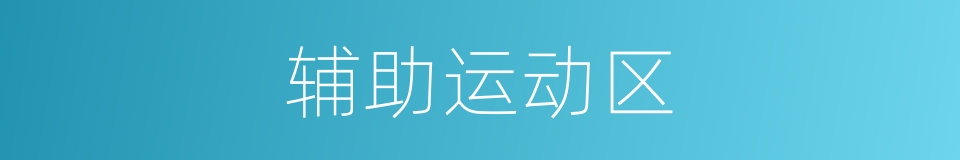 辅助运动区的同义词