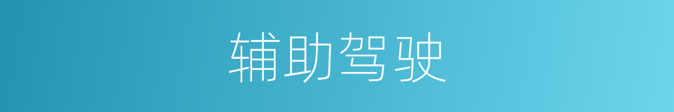 辅助驾驶的同义词
