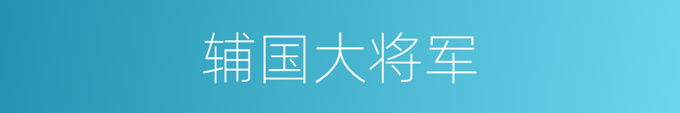 辅国大将军的同义词