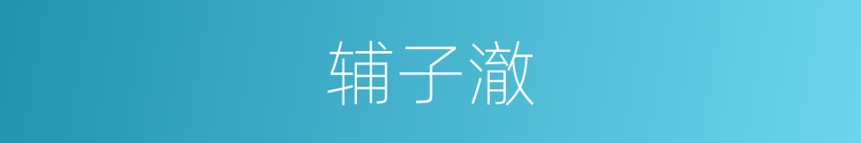 辅子澈的同义词