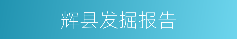 辉县发掘报告的同义词