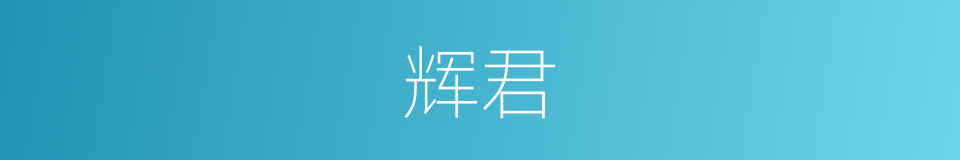 辉君的同义词