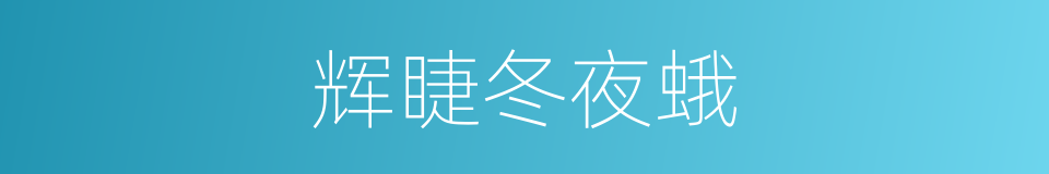 辉睫冬夜蛾的同义词