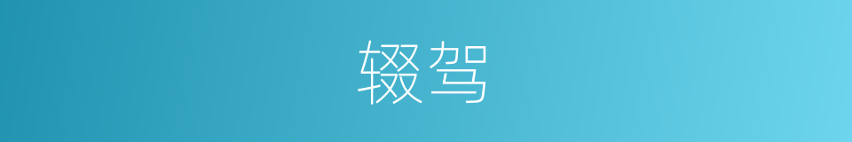 辍驾的意思