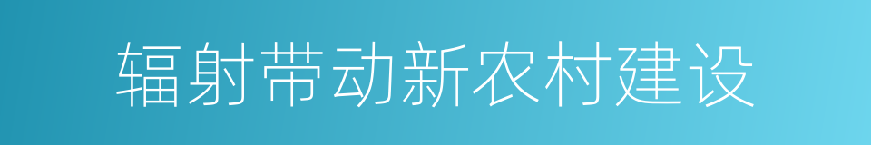 辐射带动新农村建设的同义词