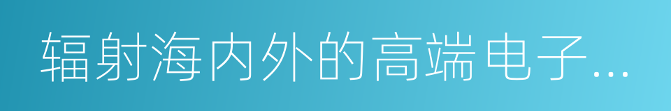 辐射海内外的高端电子信息服务的同义词