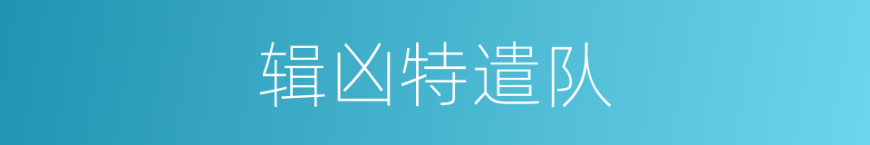 辑凶特遣队的同义词
