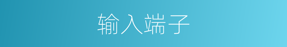 输入端子的同义词