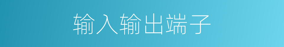 输入输出端子的同义词