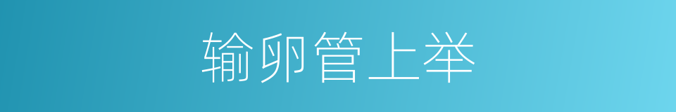 输卵管上举的同义词