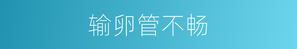 输卵管不畅的同义词