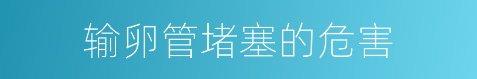 输卵管堵塞的危害的同义词