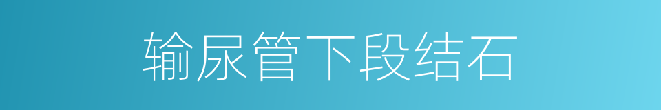 输尿管下段结石的同义词