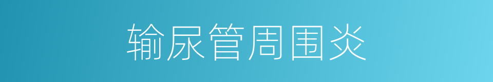 输尿管周围炎的同义词