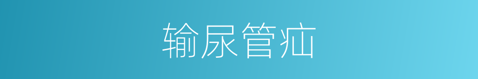 输尿管疝的同义词